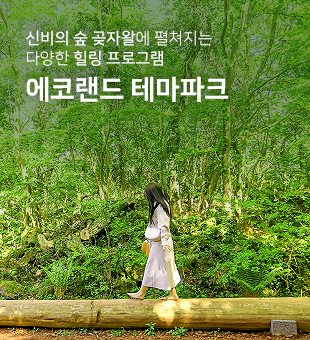 에코랜드테마파크